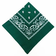 Paisley Print Bandana 55 Casual Square Scarf Handkerchief Hip Hop