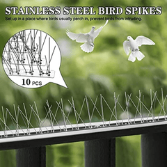 10pcs Bird Control Spikes Stainless Steel Pigeon Spikes
