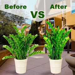 6pcs Tall Plant Support Stakes Metal Half Round Garden Plant Support Peony Cage