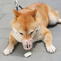 Breathable Dog Muzzle For Aggressive Dogs - Secure Anti Barking Mouth Cover