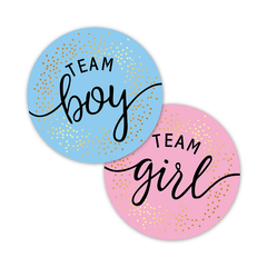 60pcs Team Stickers Gender Reveal Party Box Label Favors Supplies
