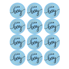 60pcs Team Boy Team Girl Stickers Gender Reveal Party Baby Shower