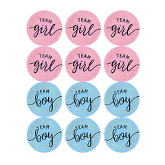 60pcs Team Stickers Gender Reveal Party Box Label Favors Supplies