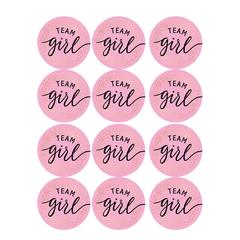 60pcs Team Stickers Gender Reveal Party Box Label Favors Supplies