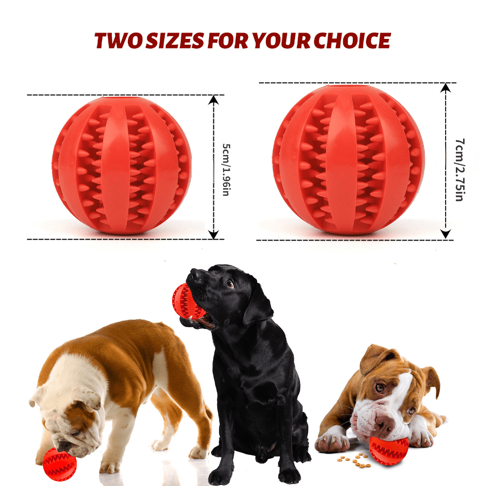 Interactive Dog Teething Toy Chew Ball Food Dispenser Puzzle