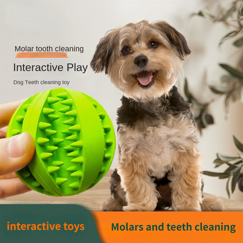 Interactive Dog Teething Toy Chew Ball Food Dispenser Puzzle