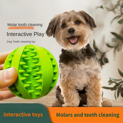 Interactive Dog Teething Toy Chew Ball Food Dispenser Puzzle