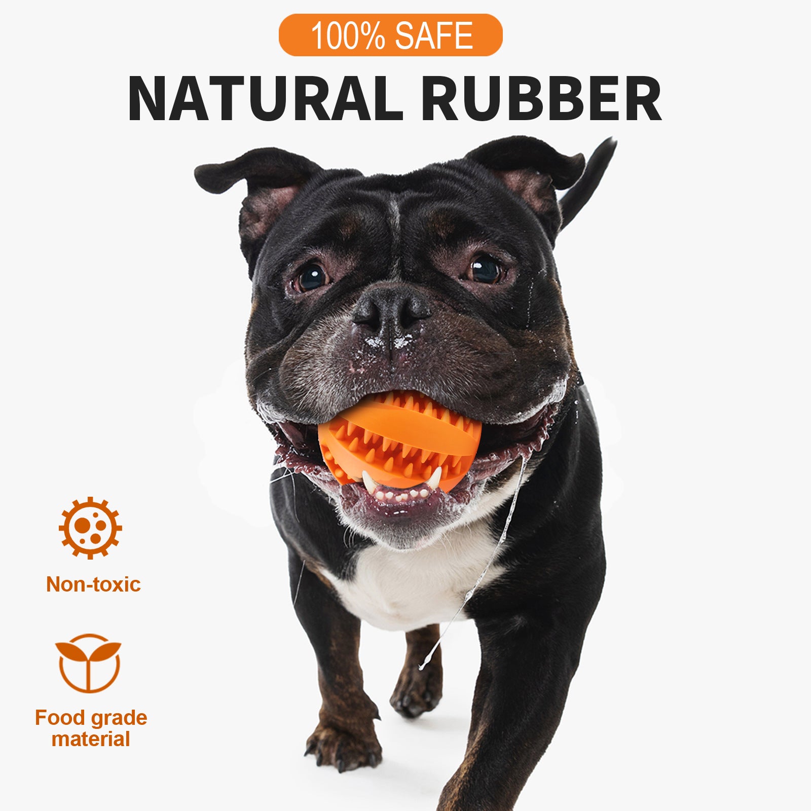 Interactive Dog Teething Toy Chew Ball Food Dispenser Puzzle