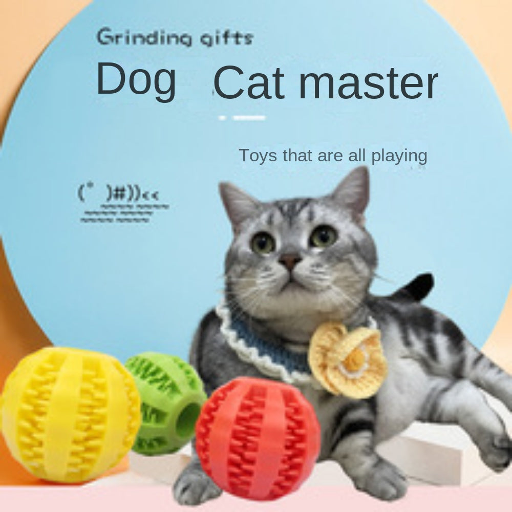 Interactive Dog Teething Toy Chew Ball Food Dispenser Puzzle