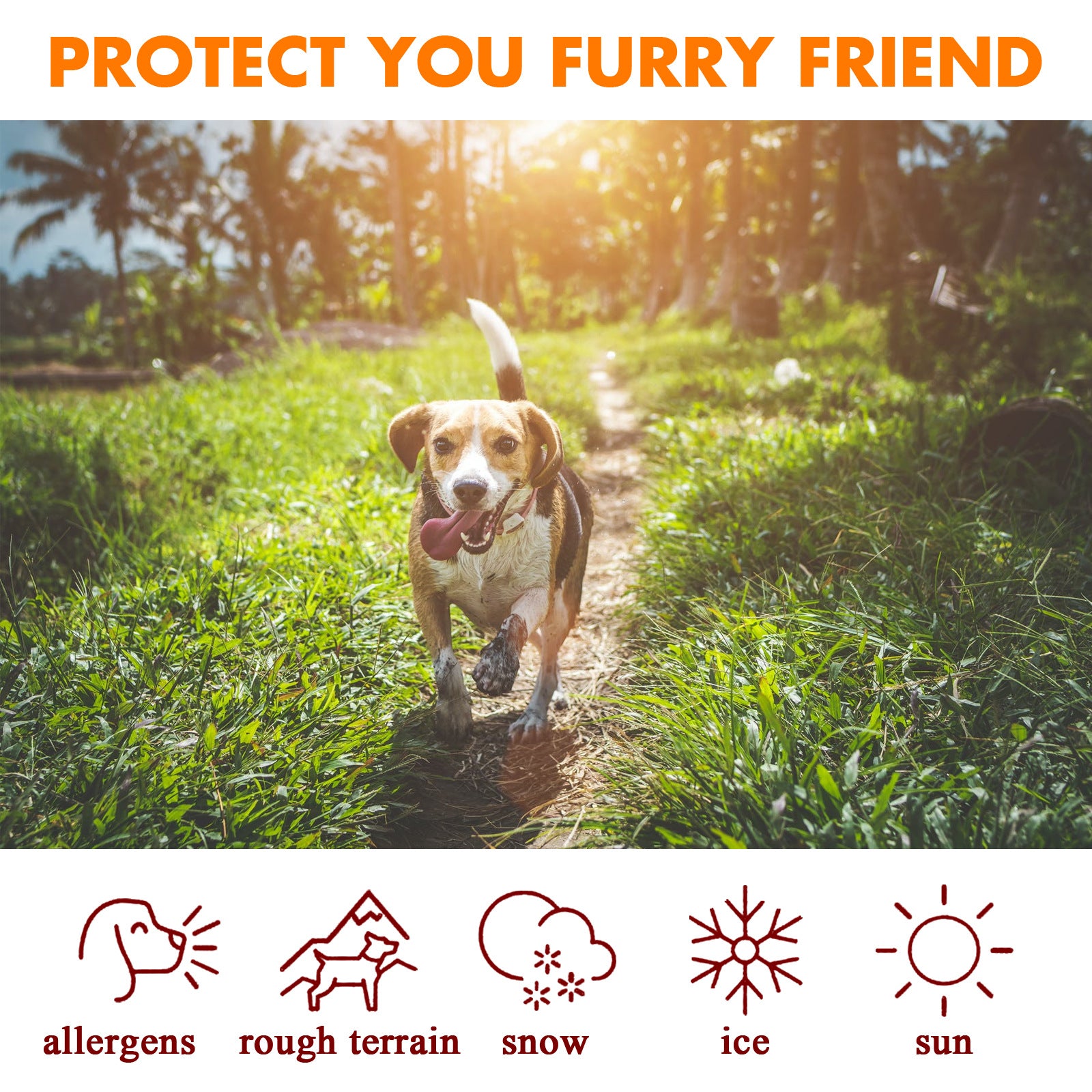 Natural Pet Paw Balm for Cats & Dogs