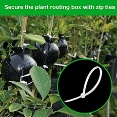 6pcs Plant Rooting Device High Pressure Grafting Propagation Ball