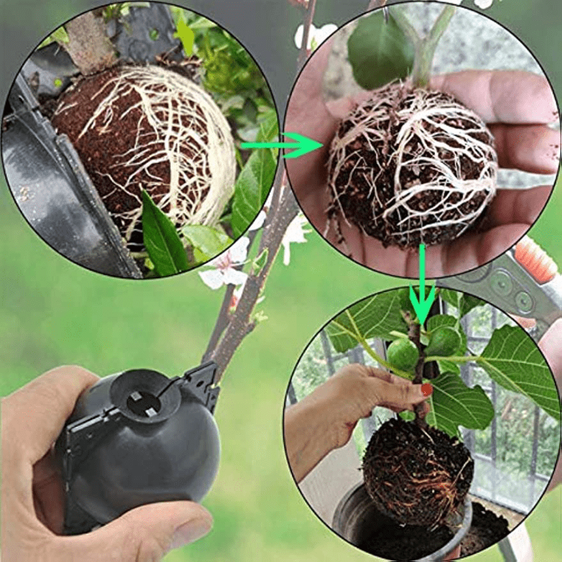 6pcs Plant Rooting Device High Pressure Grafting Propagation Ball