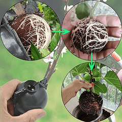 6pcs Plant Rooting Device High Pressure Grafting Propagation Ball
