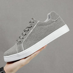 Men's Canvas Skate Shoes Wear resistant Non Slip Casual Shoes For Youth