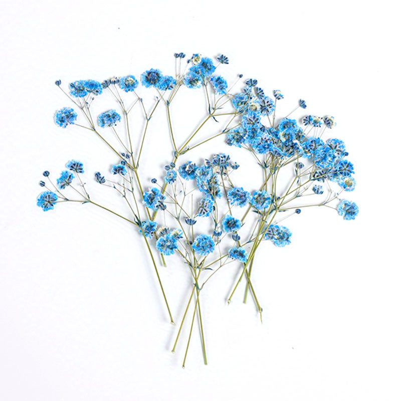 10pcs Natural Gypsophila Dried Flowers Small Bouquet Decor
