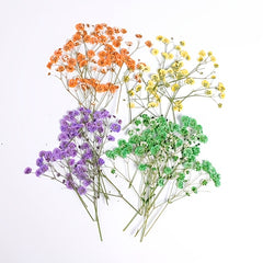 10pcs Natural Gypsophila Dried Flowers Small Bouquet Decor