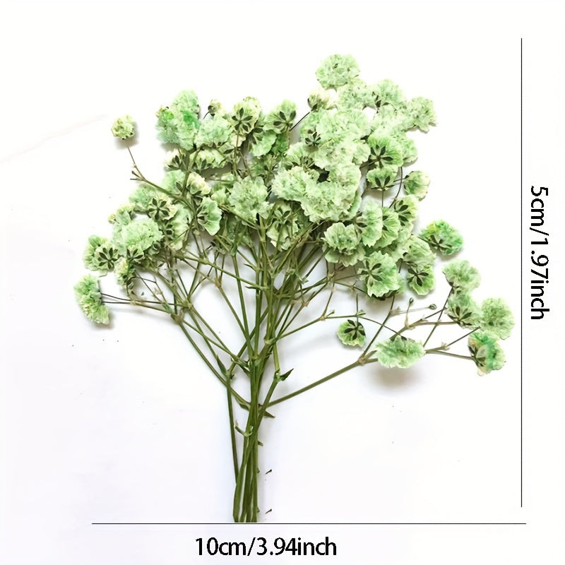 10pcs Natural Gypsophila Dried Flowers Small Bouquet Decor