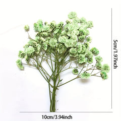 10pcs Natural Gypsophila Dried Flowers Small Bouquet Decor