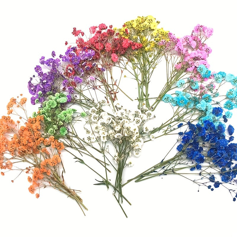 10pcs Natural Gypsophila Dried Flowers Small Bouquet Decor
