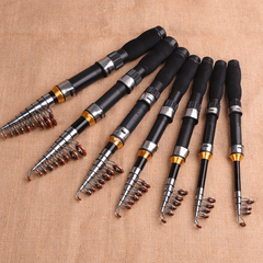 Retractable Fishing Rod for Ice and Saltwater Lightweight Portable
