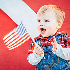 Side Stick Flags 76 Cm Pole Hand Held Flags