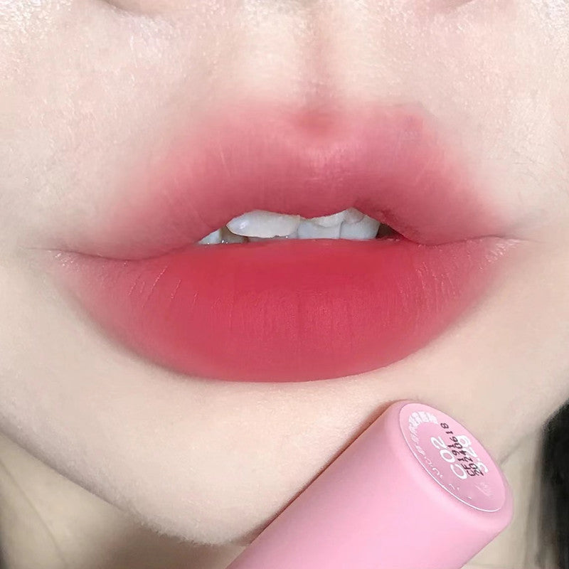 Waterproof Matte Lip Gloss Velvet Lip Mud Nude Chocolate Red Lip Tint