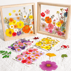 Dried Flower Stickers DIY Phone Cases Epoxy Resin Jewelry Nail Art Crafts