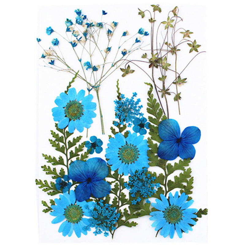 Dried Flower Stickers DIY Phone Cases Epoxy Resin Jewelry Nail Art Crafts