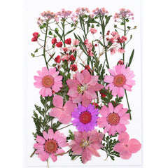 Dried Flower Stickers DIY Phone Cases Epoxy Resin Jewelry Nail Art Crafts