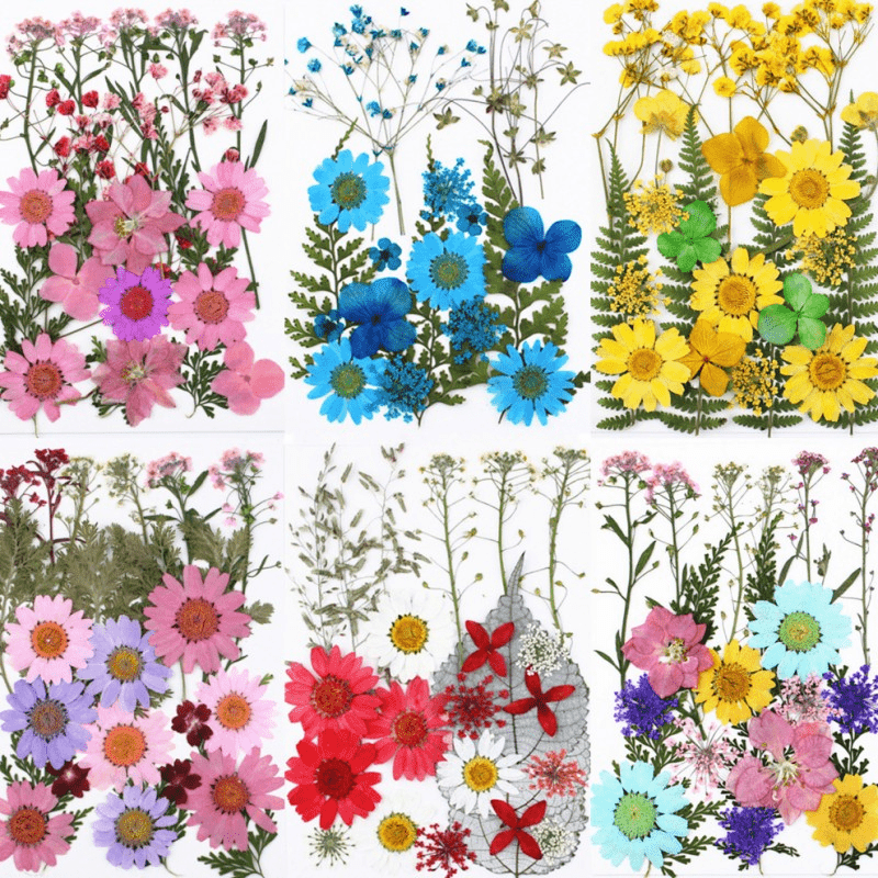 Dried Flower Stickers DIY Phone Cases Epoxy Resin Jewelry Nail Art Crafts