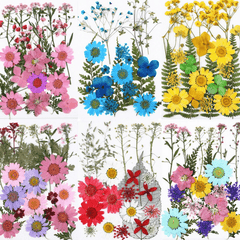 Dried Flower Stickers DIY Phone Cases Epoxy Resin Jewelry Nail Art Crafts