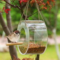 Acrylic Bird Feeder: Attract More Birds to Your Garden