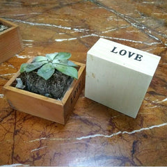 Vintage Wooden Succulent Planter Box Garden Flower Pot