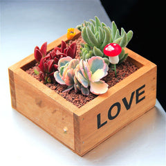 Vintage Wooden Succulent Planter Box Garden Flower Pot