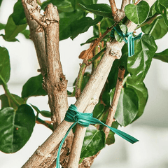 1pc Portable Wire Twist Ties Garden Plant Support Strap Tie