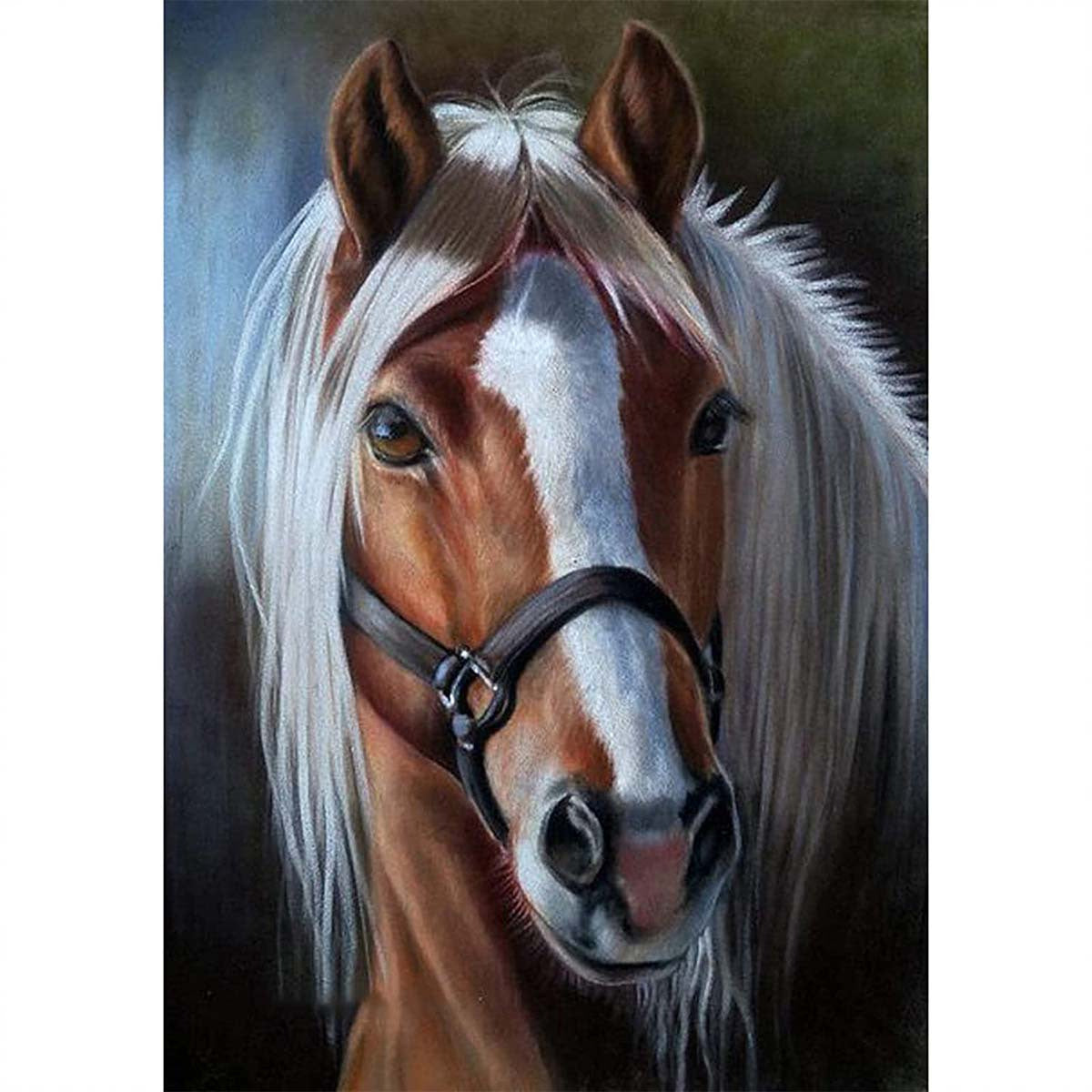 1pc Horse DIY 5D Diamond Painting Kit Wall Decor 20x30cm Frameless
