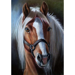 1pc Horse DIY 5D Diamond Painting Kit Wall Decor 20x30cm Frameless
