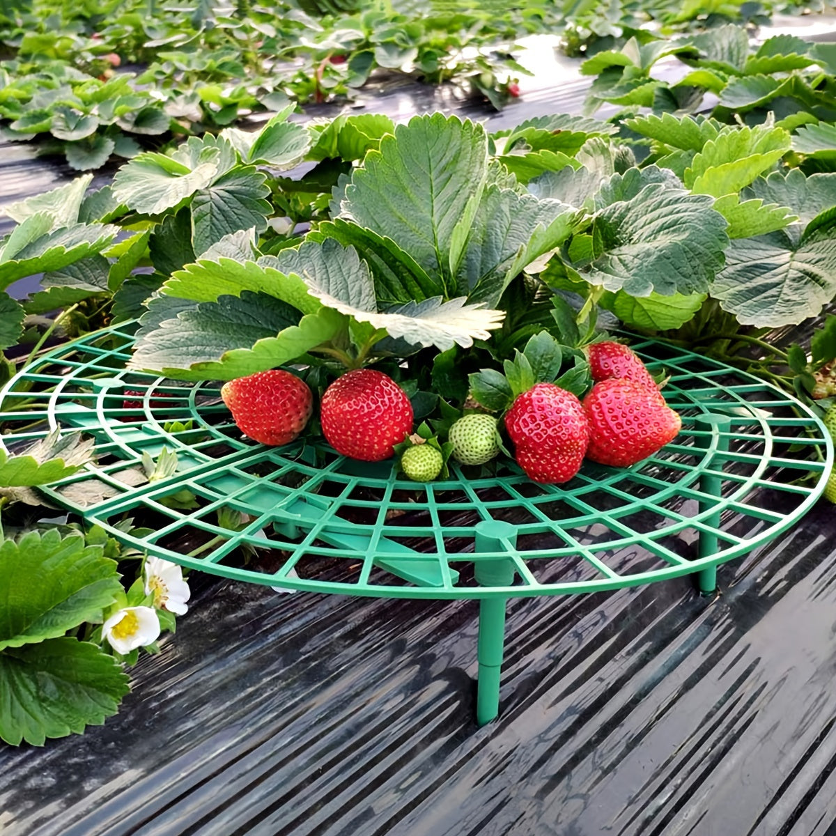 Outdoor Strawberry Planting Tray Bracket Gardening Fruit Support Stand