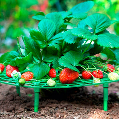 Outdoor Strawberry Planting Tray Bracket for Fruit Support Stand