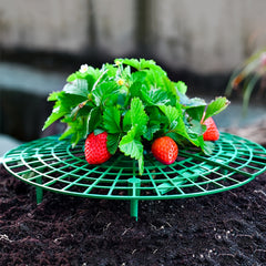Outdoor Strawberry Planting Tray Holder Gardening Fruit Support Rack