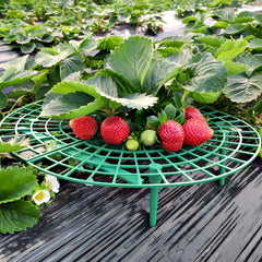 Outdoor Strawberry Planting Tray Holder Gardening Fruit Support Rack
