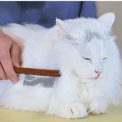 2-in-1 Cat Dog Grooming Tool Hair Removal Comb Slicker Brush
