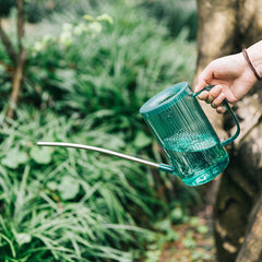 Small Long Spout Watering Can for Indoor Plants 33.82oz