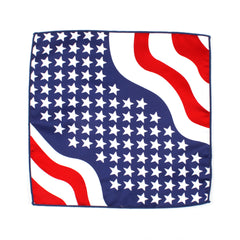 American Flag Necktie Classic Stripe Independence Tie