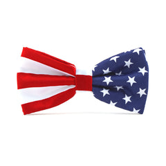 American Flag Necktie Classic Stripe Independence Tie