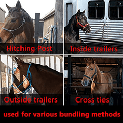 Safe Horse Tie Ring w/ Quick Release & Eye Bolt, Prevents Pulling Back