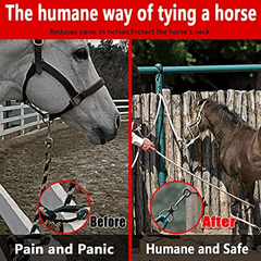 Safe Horse Tie Ring w/ Quick Release & Eye Bolt, Prevents Pulling Back