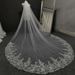 Long Head Veil Comb Bridal Mesh Veil Lace Edge Ivory Wedding