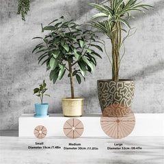 Plant Pot Soil Guard with Nails Grid Cover - Keep Your Garden Safe