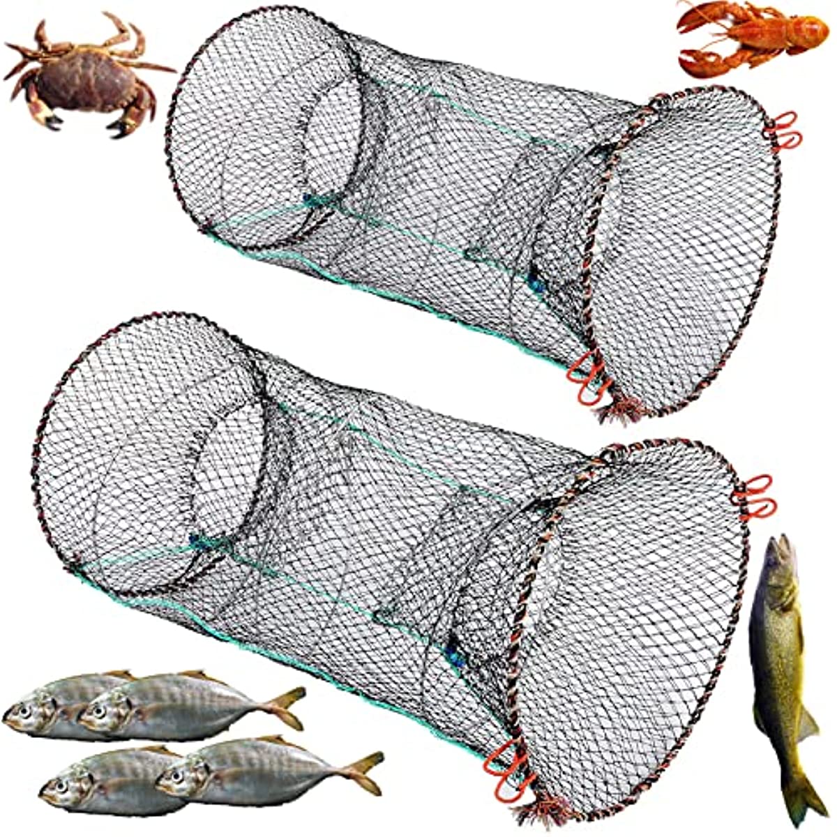Collapsible Fishing Bait Trap for Crab Minnow Crawfish Lobster and Shrimp